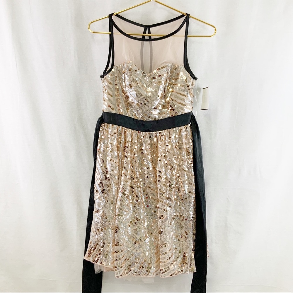 Crystal Doll Blush & Black Sequined Party Dress